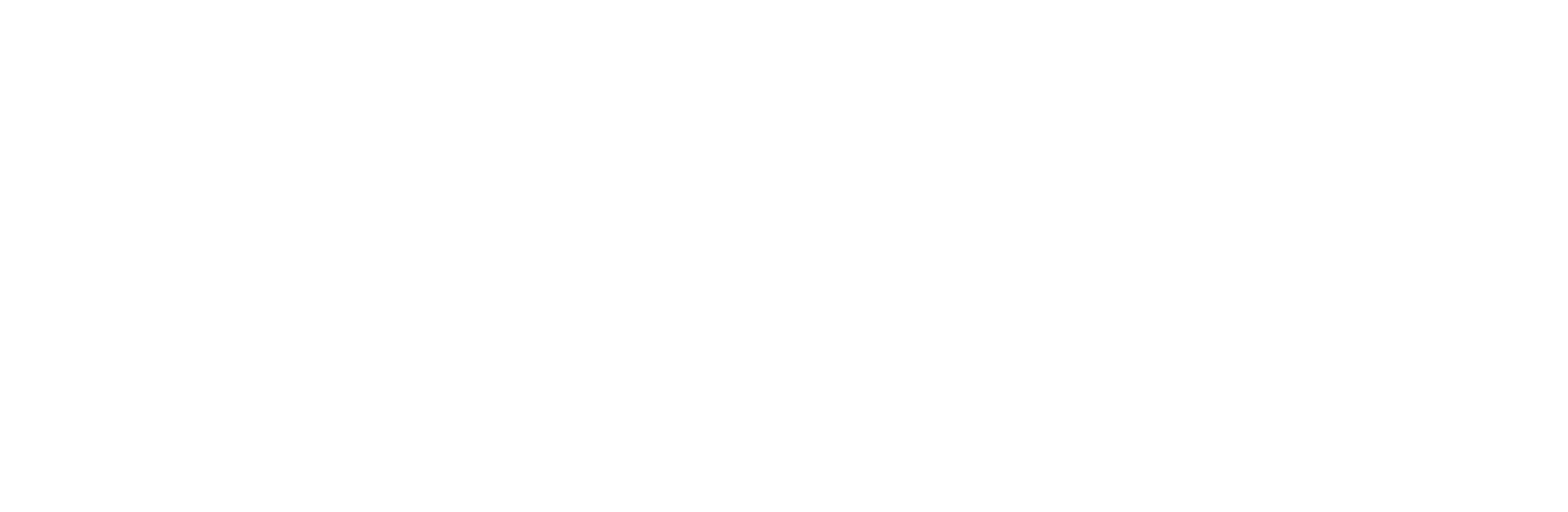 White Travefy logo