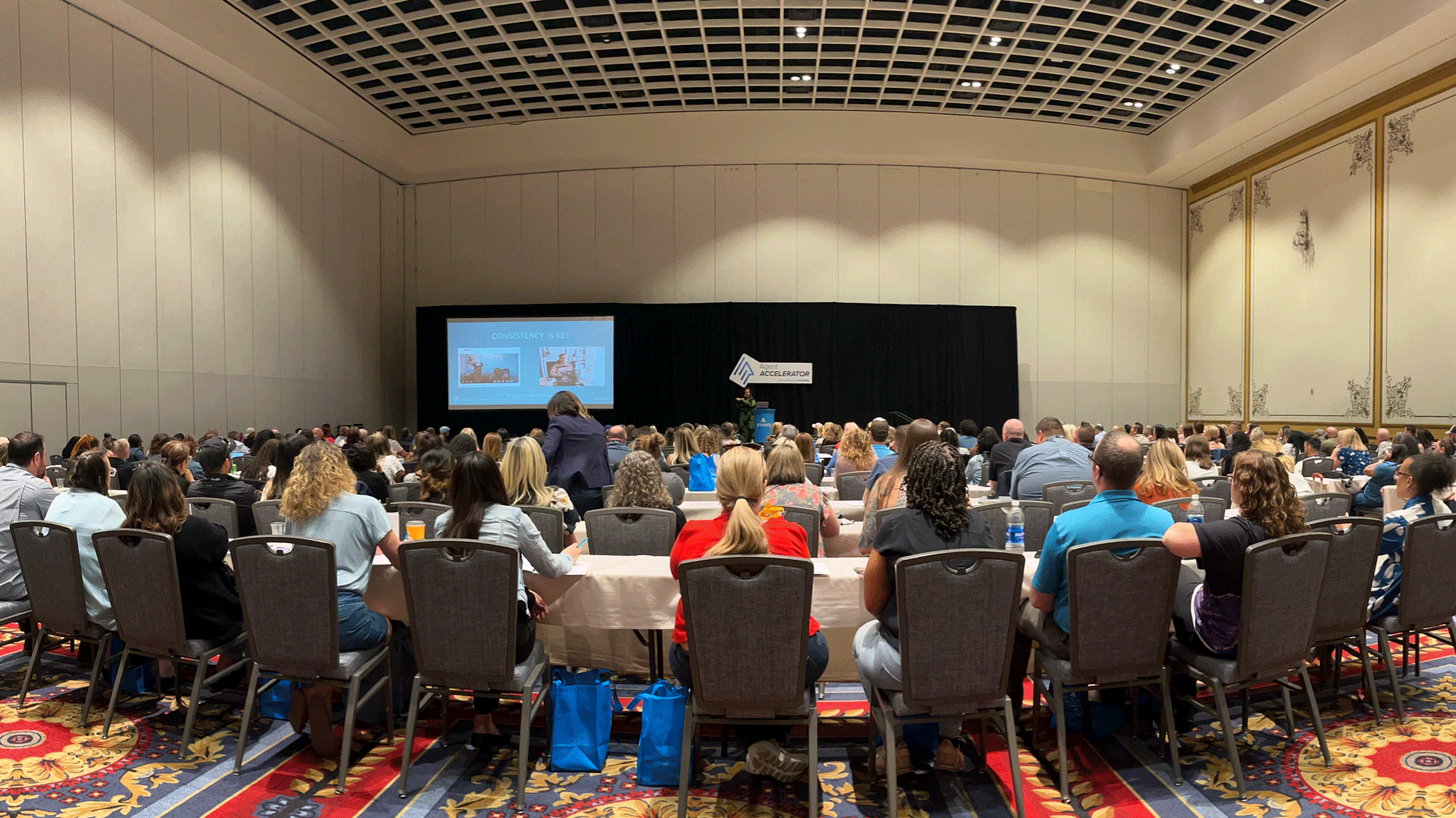 Travefy-live-gallery-04