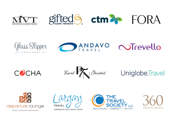 vituoso-partners-web